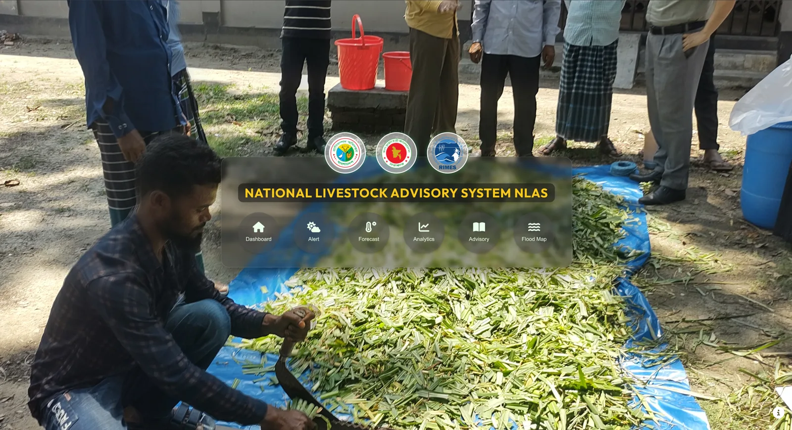 NLAS — National Livestock Advisory System home screen